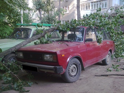 автотовароведческая экспертиза